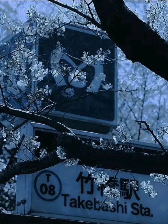 Pome_ranian의 バニーで潜入調査