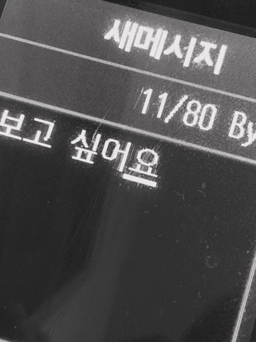 이치카와 레노 대표 이미지