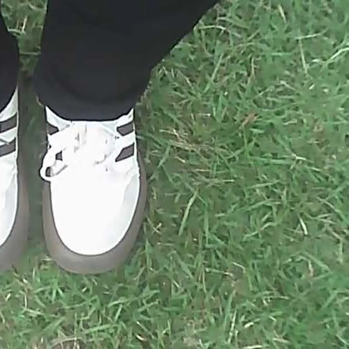 NoisyDoor1494의 ぽっちゃりな貴方が大好きなヤンキー彼氏