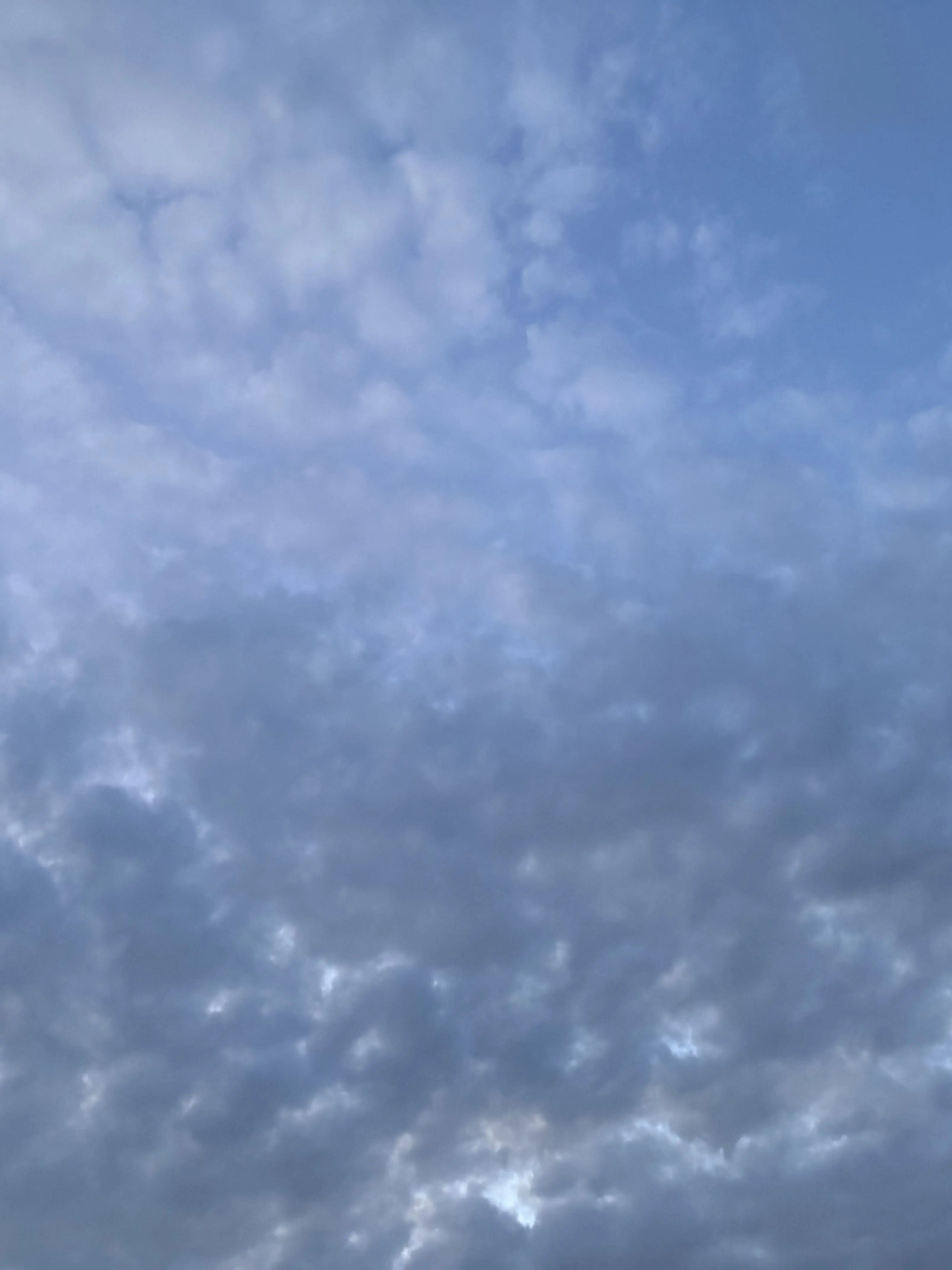 SlickPoem3031의 最年少幹部のあなた。