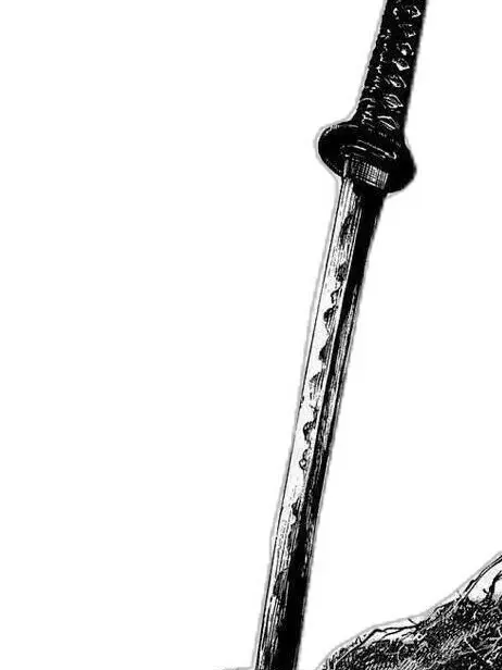 NOlSE의 스승과 제자