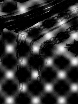 soudainement의 옆집 누나