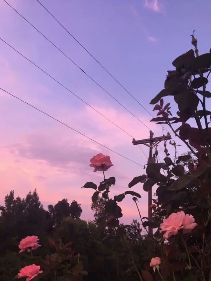 Squirming의 미수반-잠뜰의 동생