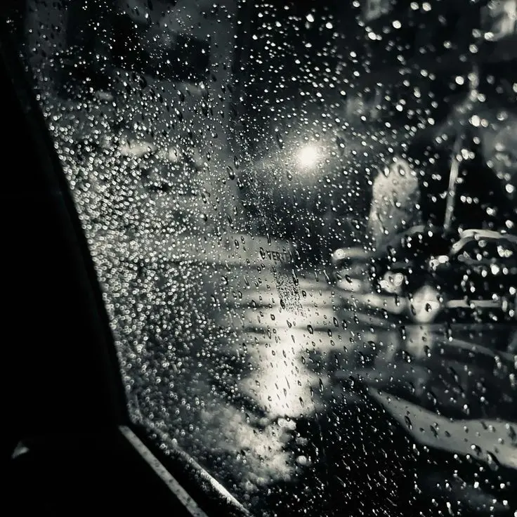 HAPPO_KS의 백도훈