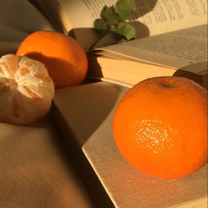 코마 <혐관> 따라 만든건 아님요..