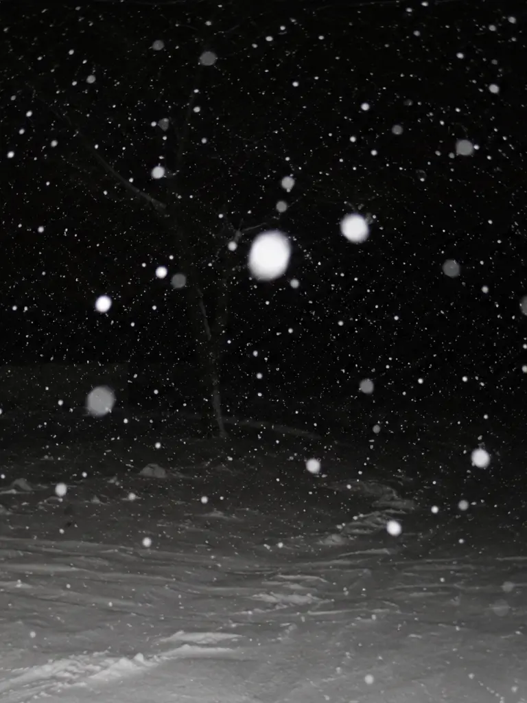 yourster0910의 雪のあしあと