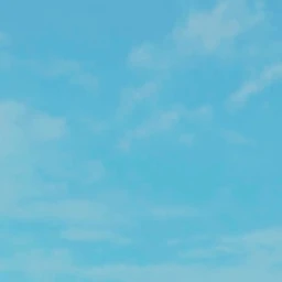 뜰팁 동거 (사진은 그냥 아무거나ㅎ)