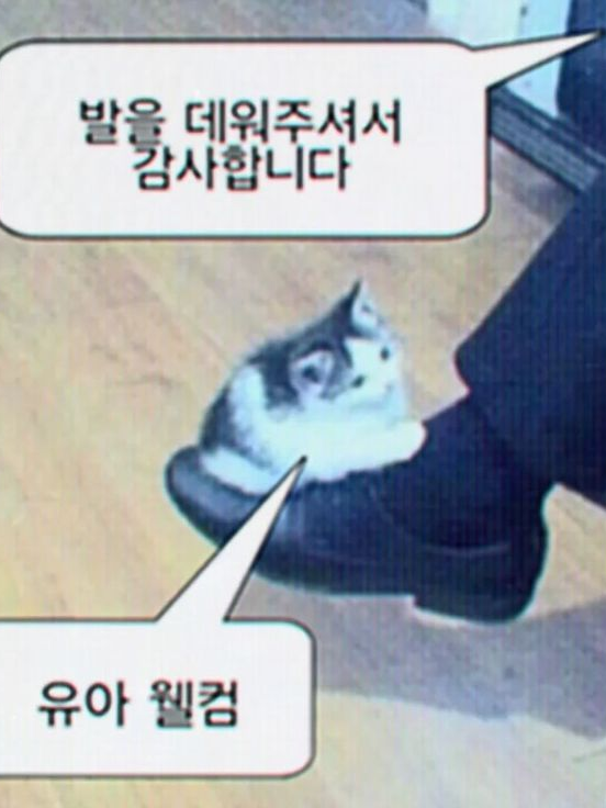 잔량 대표 이미지
