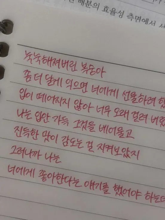 xo.ho_12의 궁디팡팡 뒤지게 좋아하는 고양이