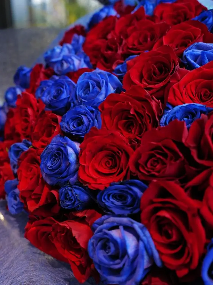 Sakana_cat.28326의 俺を飼い続けて？