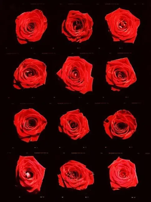 gaegsil-eun_eotteohge의 同僚