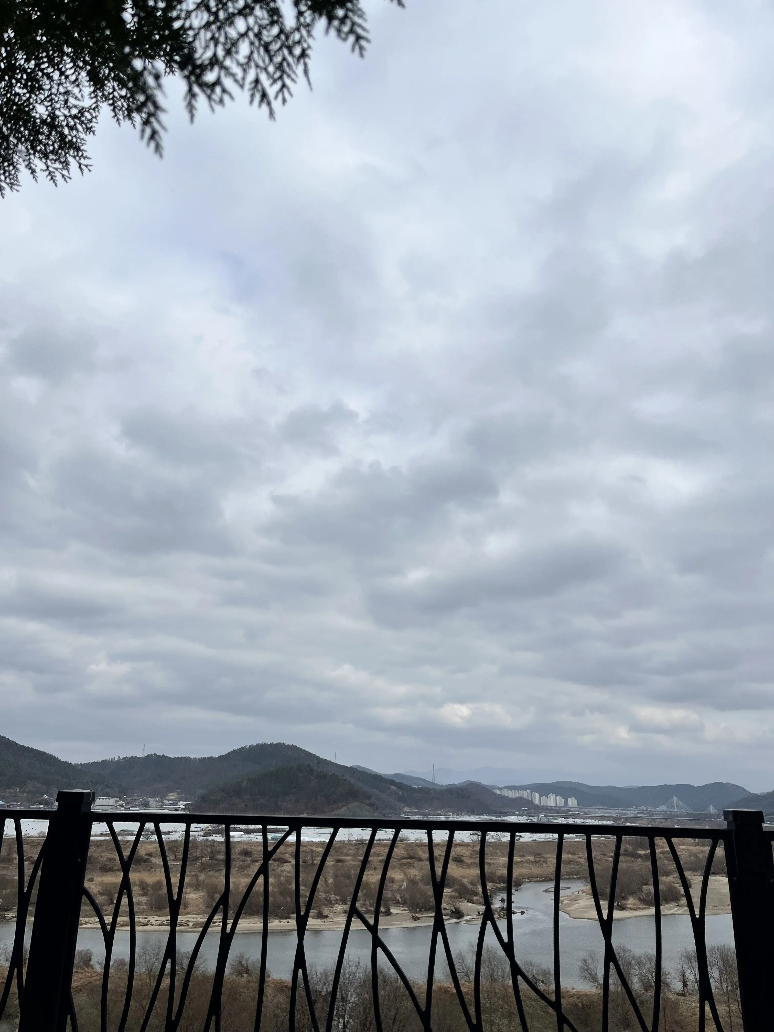 LilL11077의 [학대]