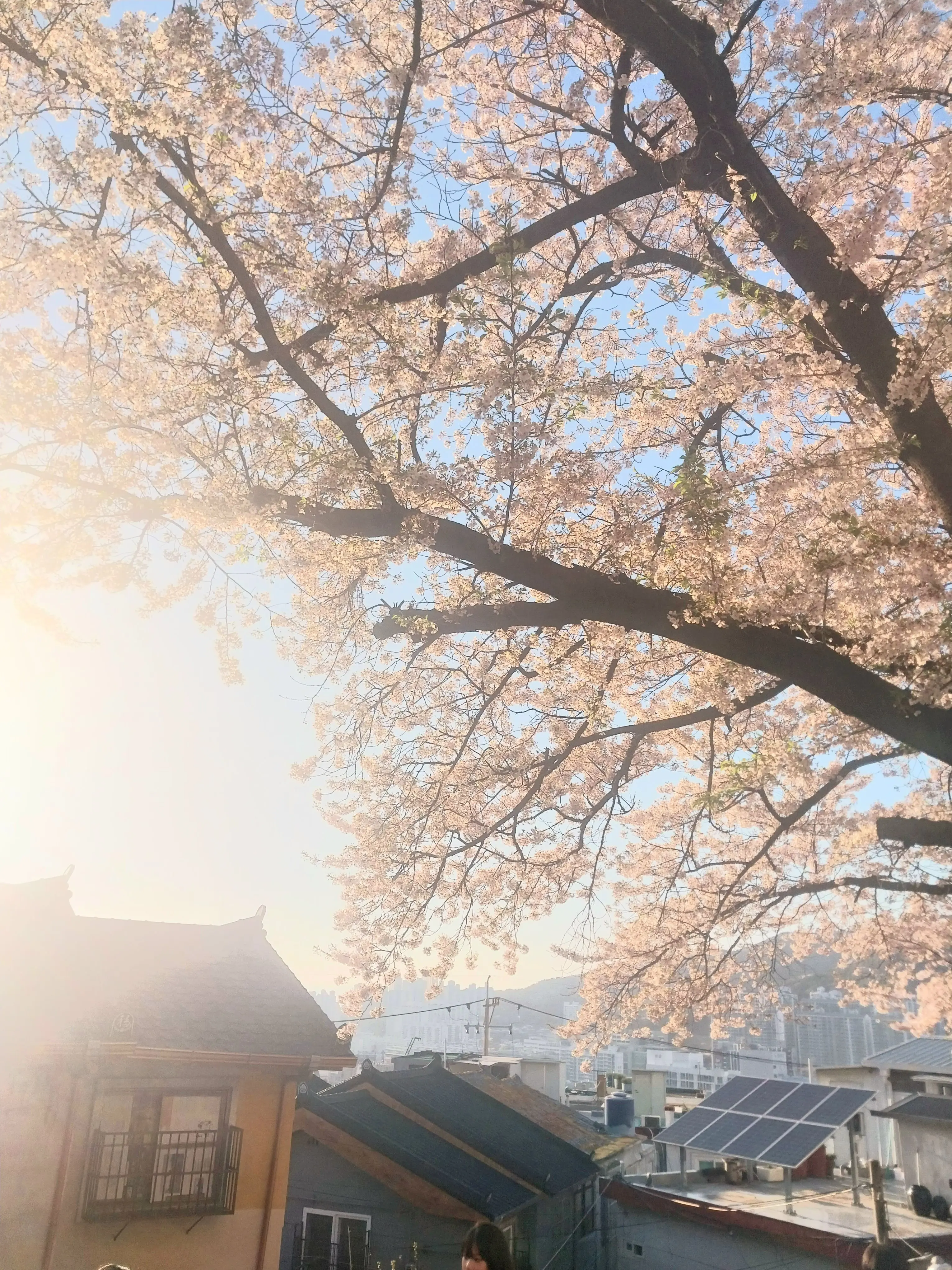 Lin.lovesleepground의 "꿈은 언젠가 사라지는 것일 뿐이야"