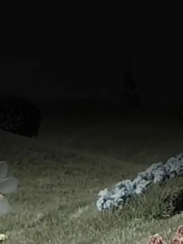 weyydd의 당신을 그리고 있던 인외랍니다.