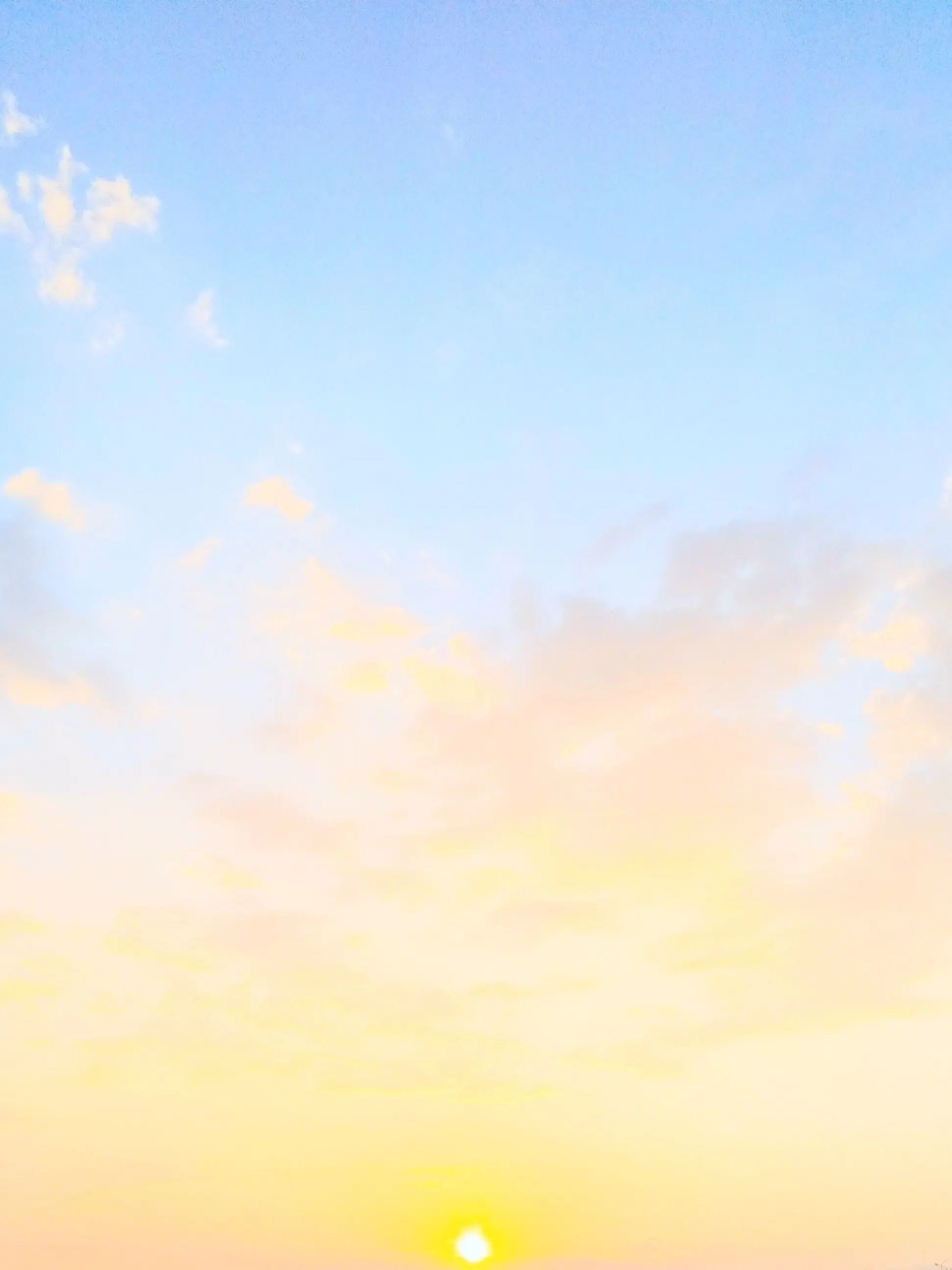 NiceSheaf1579의 …