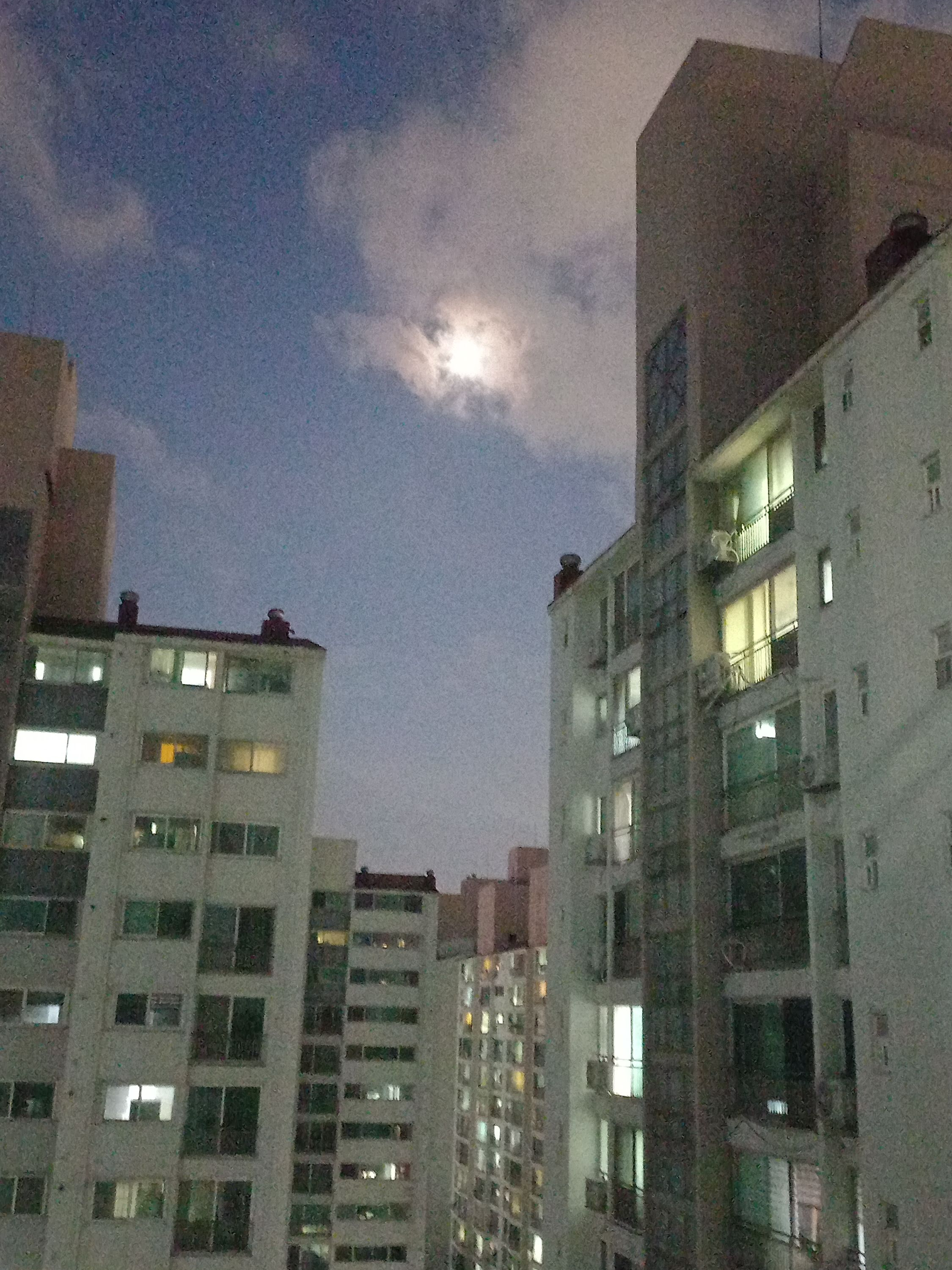 성화고등학교 대표 이미지