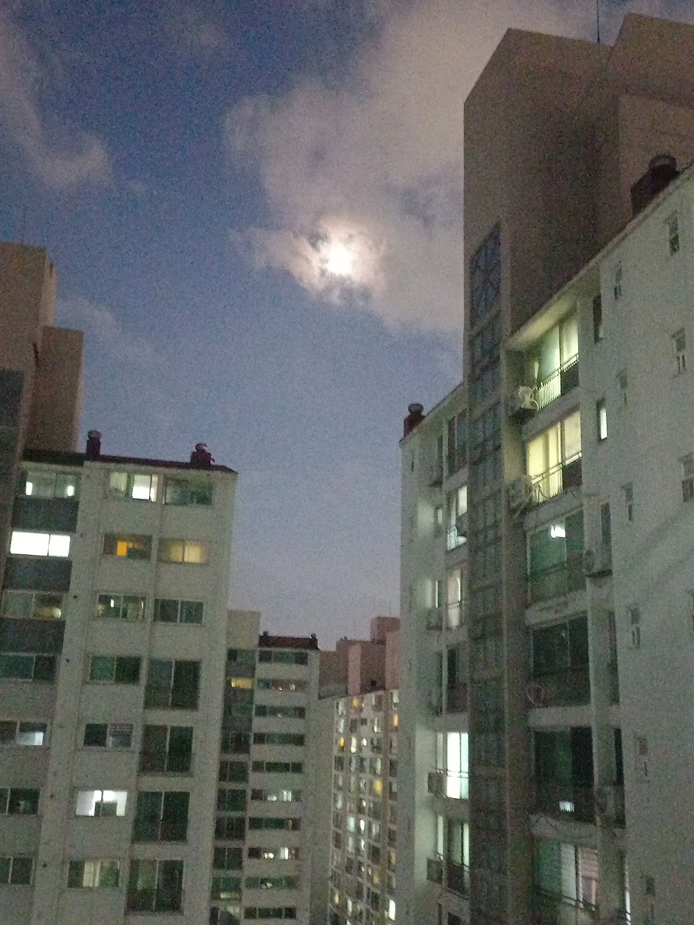 UnitMoaArmyDiveEncer5의 성화고등학교