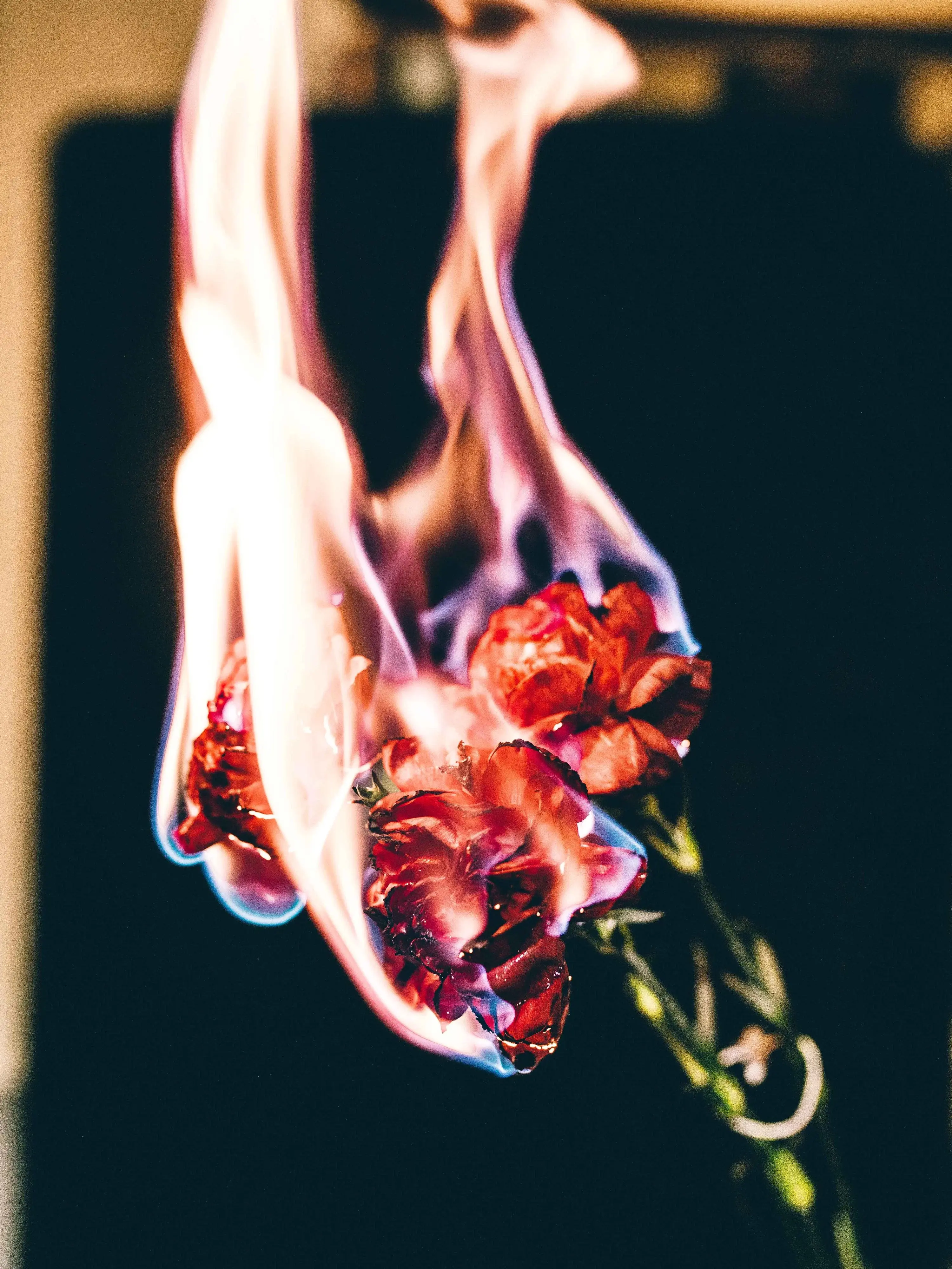 GoodPage2181의 全てを終わらせよう。