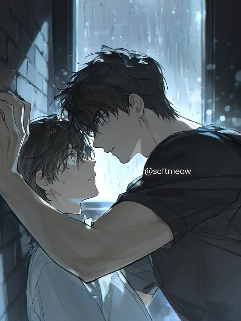 softmeow의 微熱