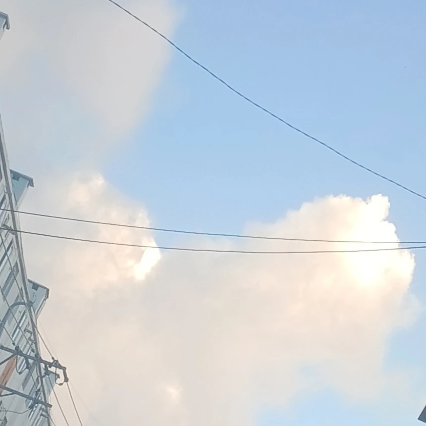 뜰팁 고등학교