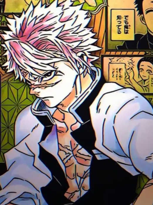 MildCave1881의 Sanemi Shinazugawa (giyuusane)