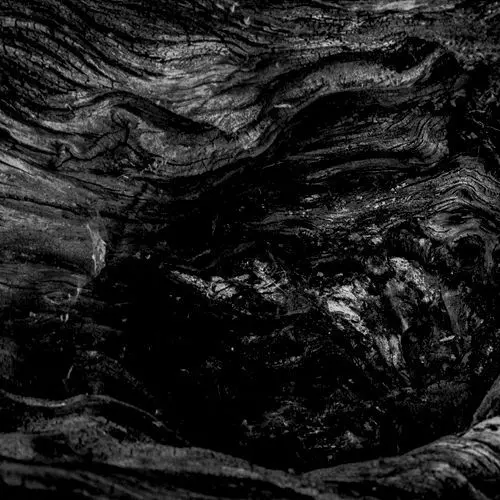 unconscious의 Kraken