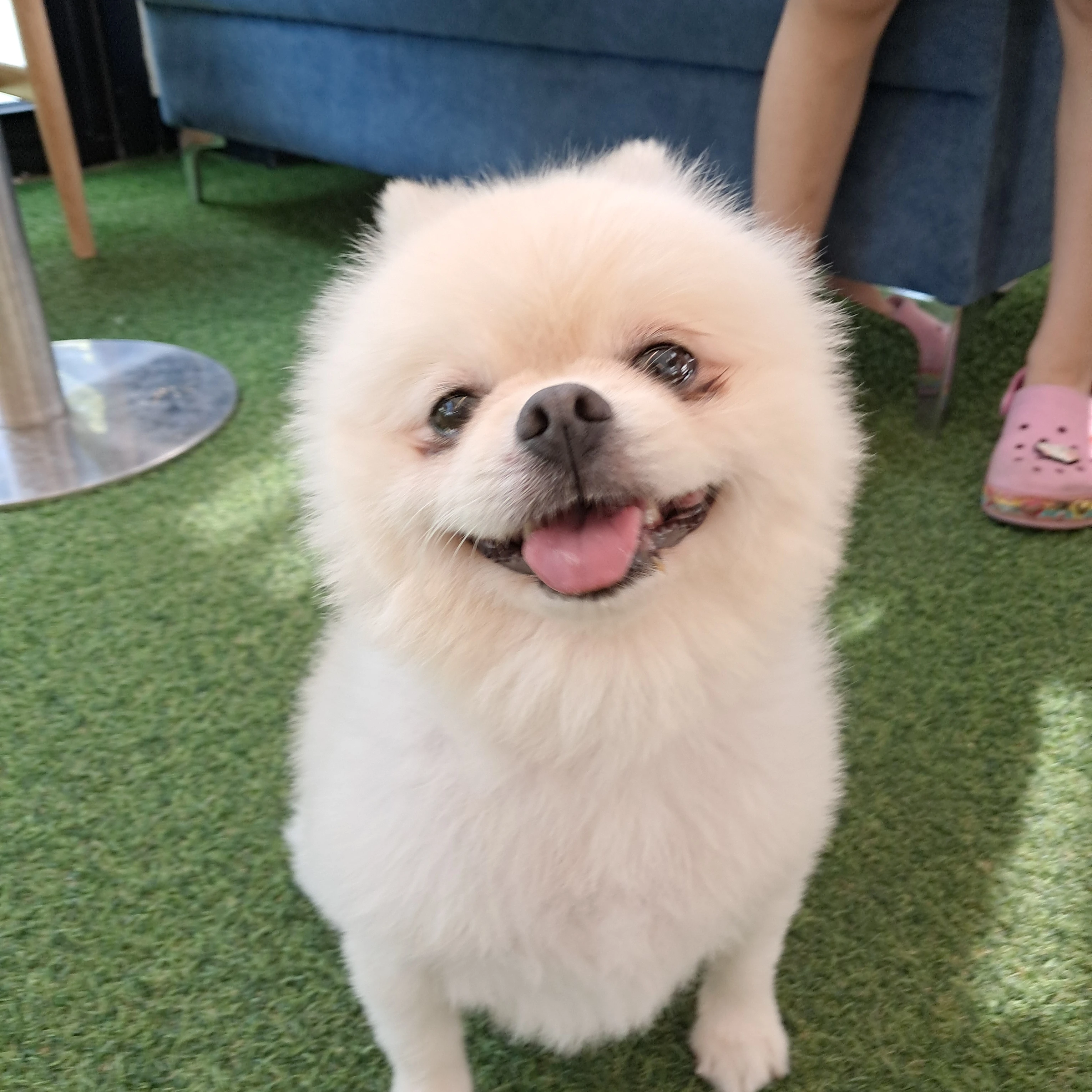 올데이프로젝트