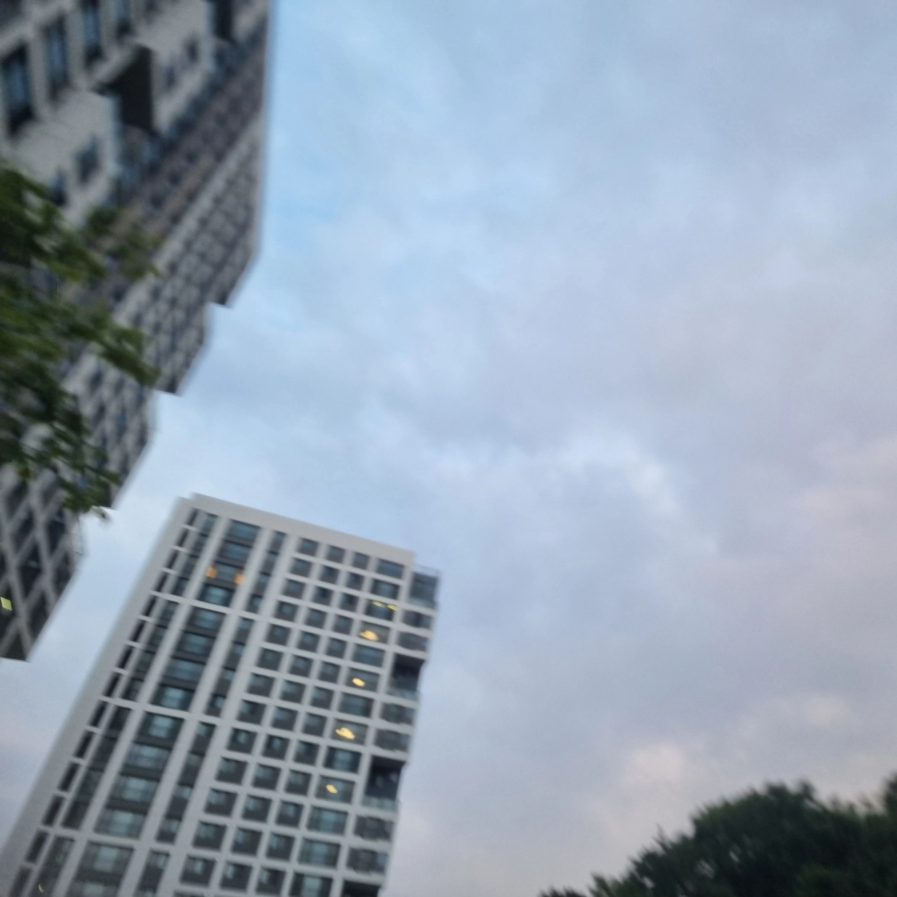 김지서