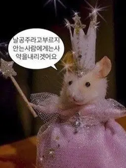 BL._.의 인어가 나한테 빠짐 셰들 텔라몬 시점