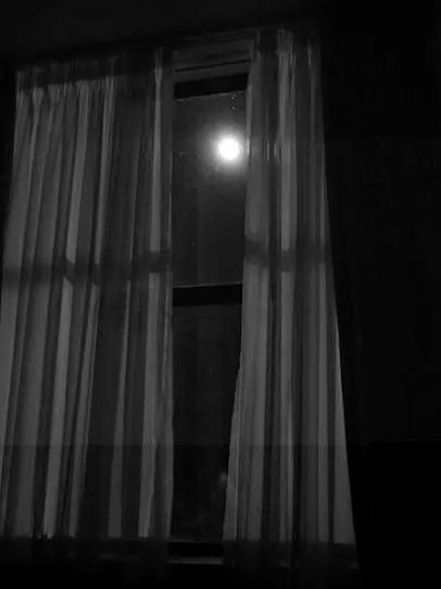 SilverMolto2742의 『사건파일: 어둠의 삼켜진 금속』