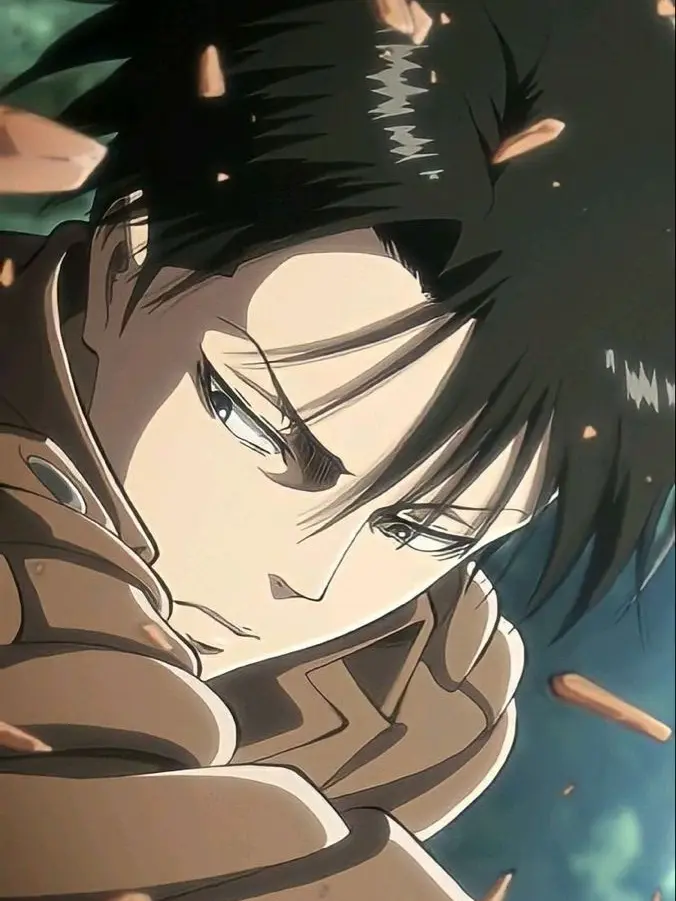 MuggyWood9120의 리바이 아커만 (cat)