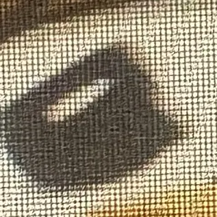 PointyCage8035의 치어리더들과 한집에서 살기