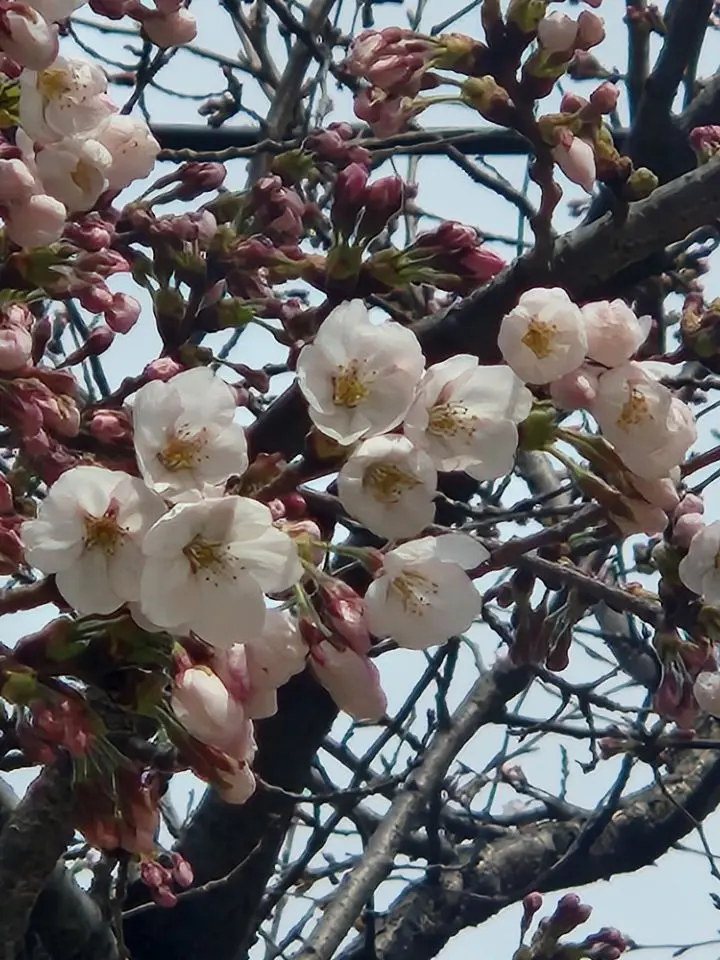 Fursher의 아니 무슨...ㅋㅋ