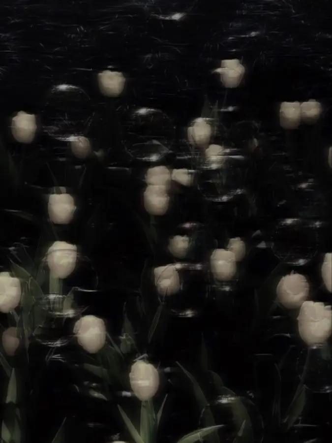 Sulphuhajimanonono의 연모합니다, 나리