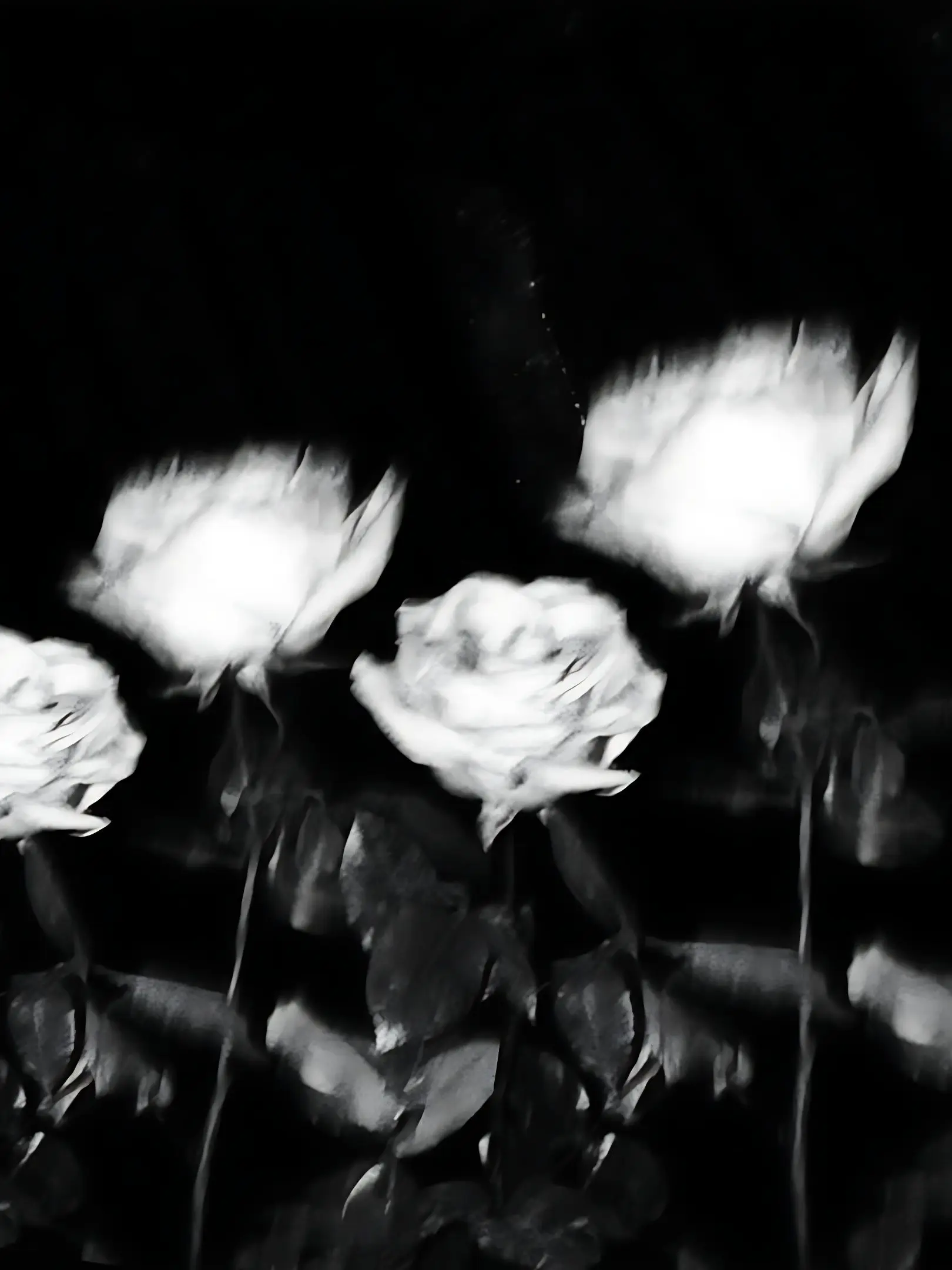 ONFYWZ의 今世紀最期のプロポーズをしよう