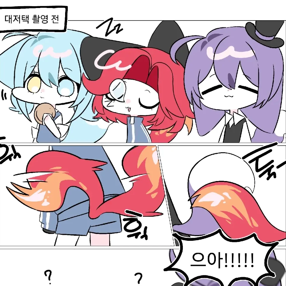 또이님은 불여우🔥