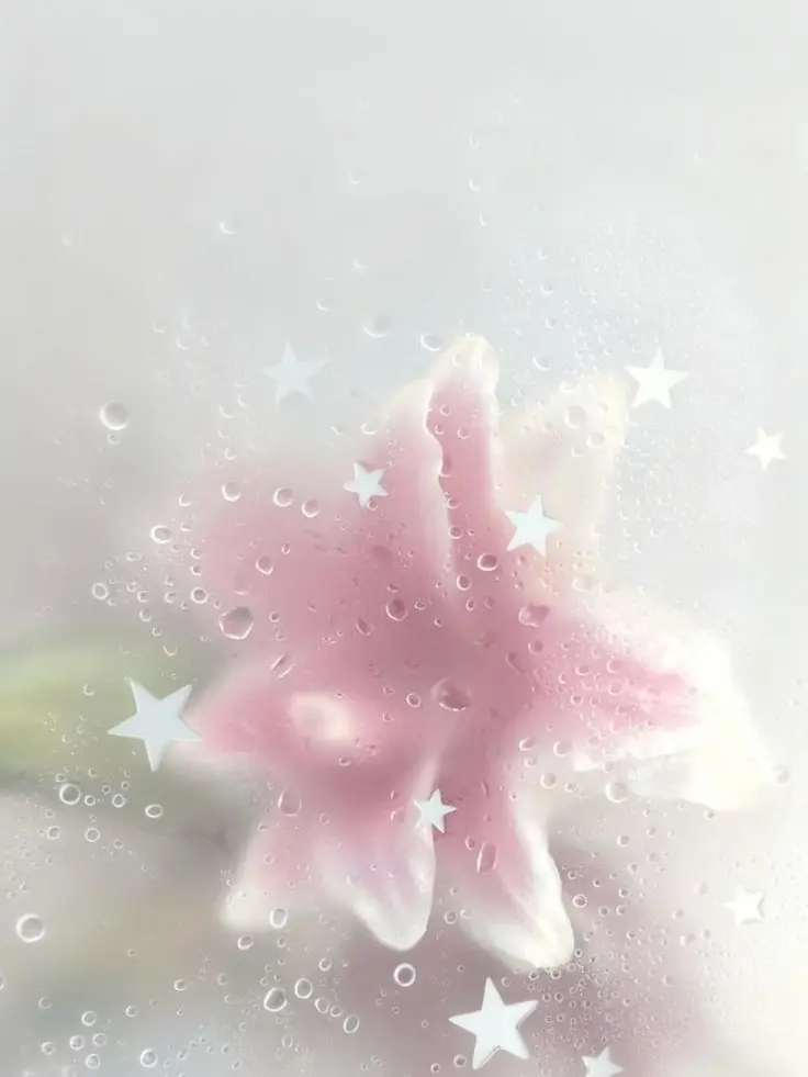 DimXerus7877의 あなたのことが本当に好きです。