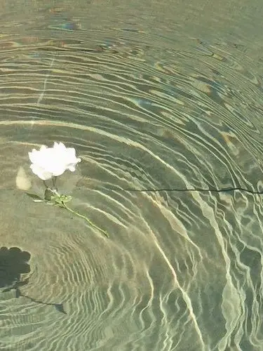 JIPGAGOSIPDA_ROTTEN의 0911