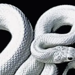 NICKNAME7552의 郭至昌