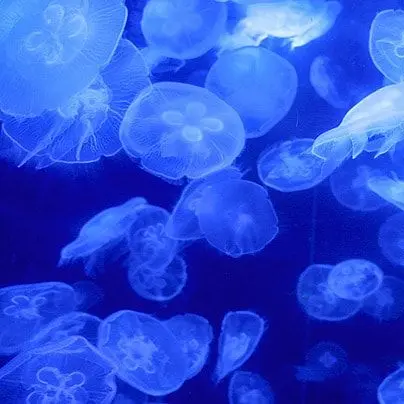 RearBear3109의 소꿉친구