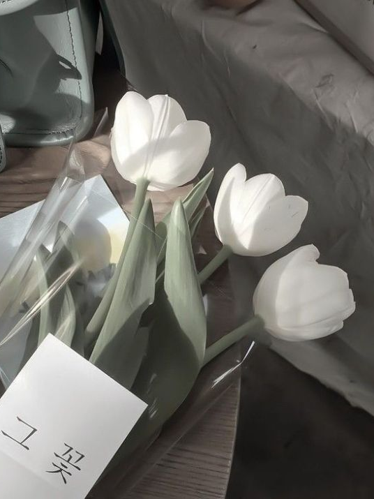 꽥꽥탐험대 (술에 취한 소멸) 대표 이미지