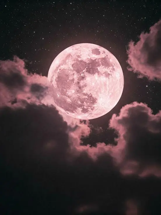 Yua_0527의 Thought You Were a Loner