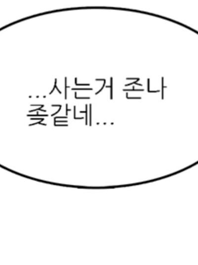 매마미무 대표 이미지