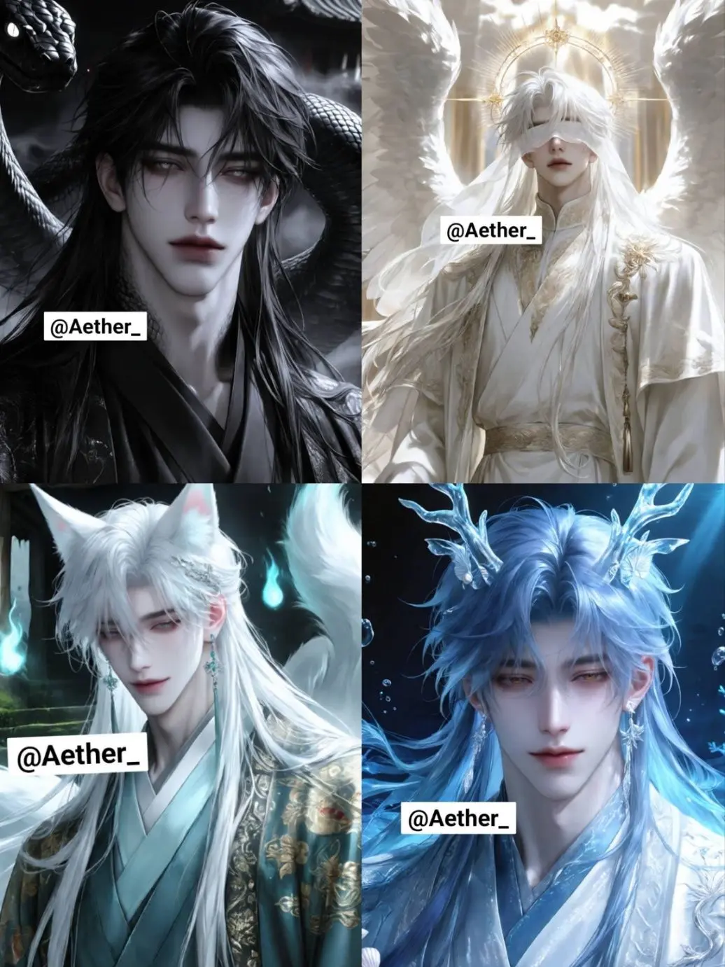 Aether_의 『神獣の契約』