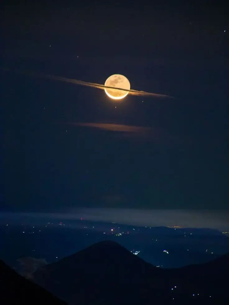 Mang_mango의 픽셀리 조직.