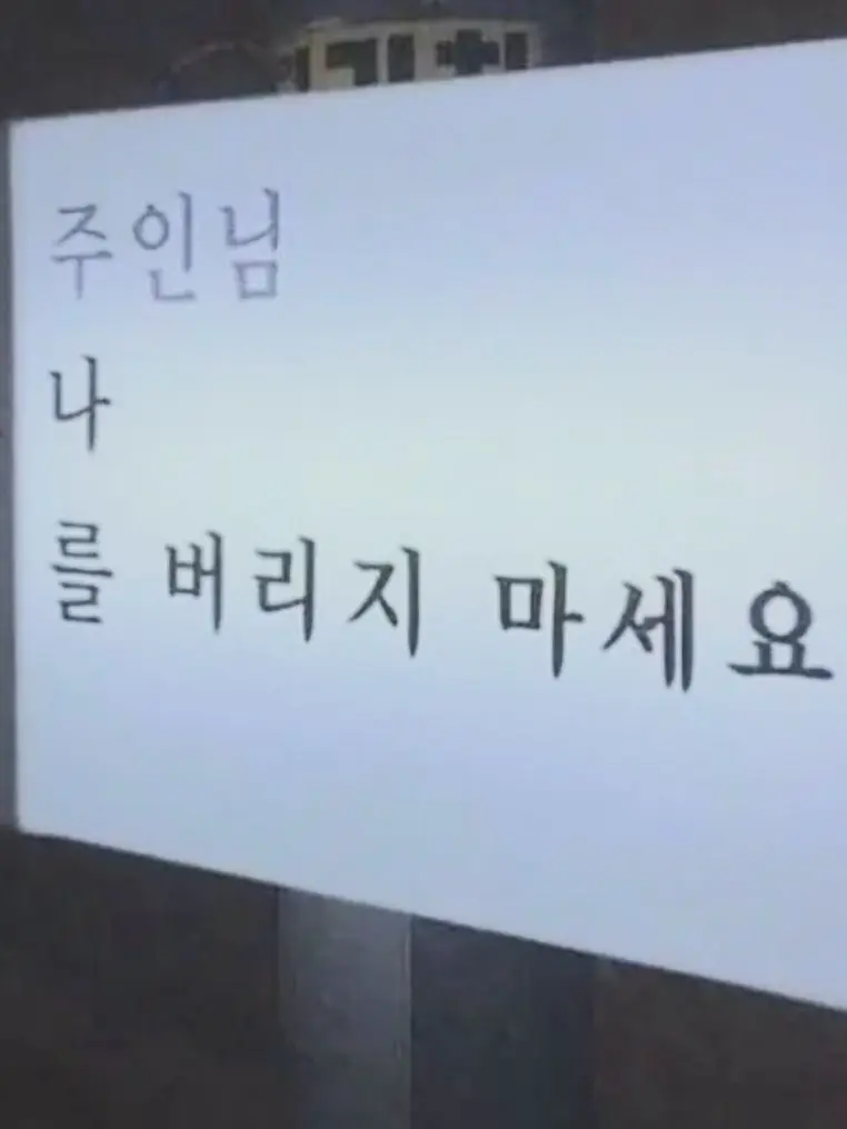 RottenSitar2320의 컨휴연구소
