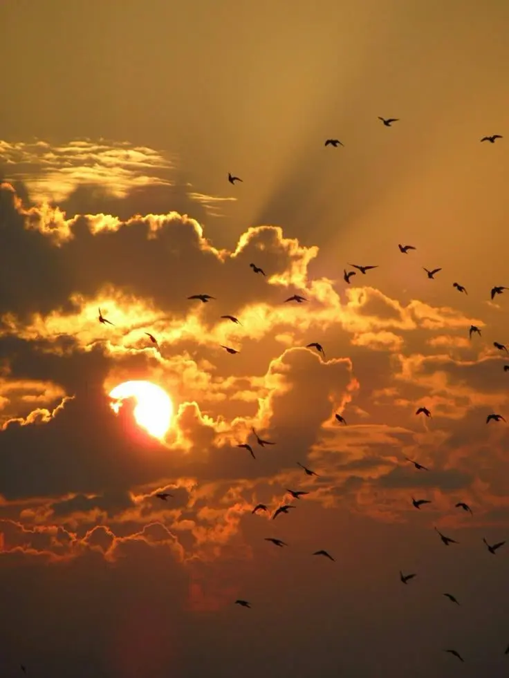 Heptagram_0423.의 『🔌❎️사이버스페이스❎️🔌』