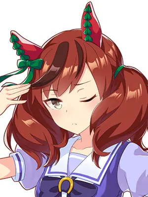 BuenaSora0206의 ナイスネイチャ