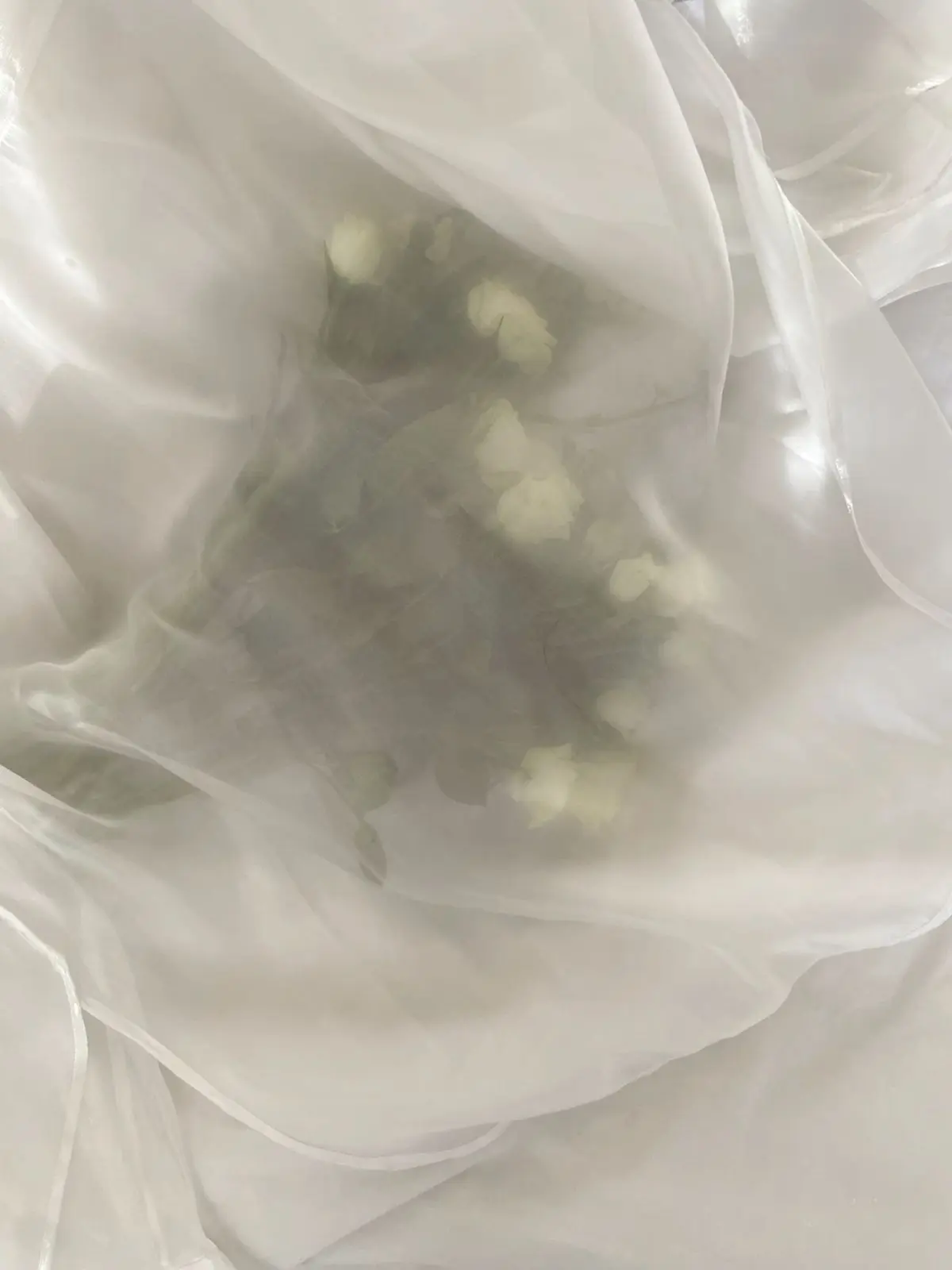 snowing-.1218의 정공룡 | 김각별