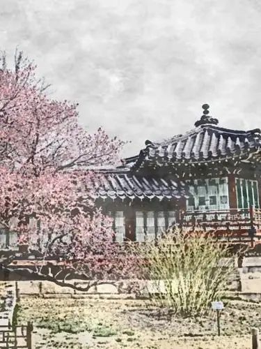 Hepstergram1994423의 까마귀 검다 하고 백로야 웃지 마라ㅡ